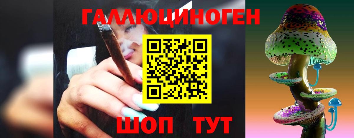 Галлюциногенные грибы Psilocybine cubensis  Вход с VPN  Вязьма 